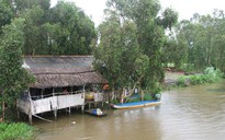 Có nhiều dấu hiệu vi phạm pháp luật