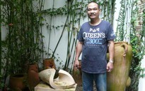 Lăn lóc trong nhà kho