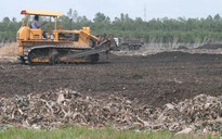 Vietstar sai phạm nối tiếp sai phạm: Công nghệ trên giấy