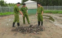Bất an với Vietstar