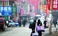 Làng “kiến” Đường Gia Linh