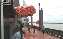 Vẫn vòi tiền trắng trợn