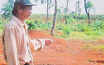 Bán bò chống tiêu cực
