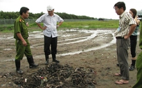 Phạt Vietstar 230 triệu đồng
