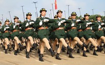 Các chương trình vào chặng nước rút