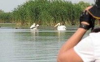 Bom nổ chậm bên dòng Danube