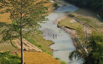 Lên Cao nguyên đá Đồng Văn