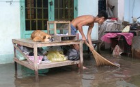 Khốn khổ vì bể bờ bao