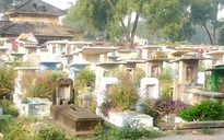 TPHCM: Ngày 15-2 đóng cửa nghĩa trang Bình Hưng Hòa