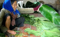 Tết tha hương nhớ mẹ