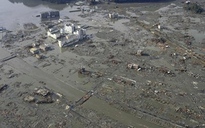 Nhật Bản: Số người chết ở riêng Miyagi có thể hơn 10.000