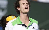 Thua liểng xiểng, Andy Murray vẫn tăng hạng