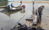 Dầu FO tràn ra sông Trà Khúc