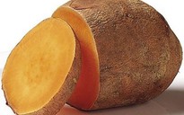 Rợn người với bột khoai làm từ mực viết, dầu hỏa