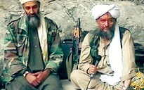 Bin Laden bị phản?