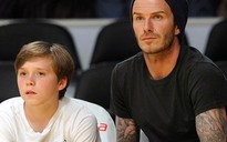 Cha con Beckham gặp nạn trên xa lộ Mỹ