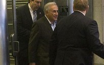 Ông Strauss-Kahn thuê hàng loạt "anh tài" biện hộ cho mình