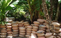 Từ tô cháo hành… đến công nghệ kho cá xuất khẩu