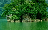 Vườn Quốc gia Cát Tiên “mất” 137 ha