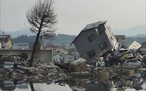 Tâm thư xúc động của một người Nhật về thảm họa