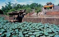 Saigontourist: Du hè miền Trung giảm gần 500.000 đồng/khách