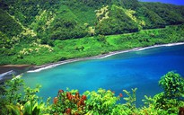 Lời chào từ Hawaii