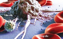 Liệu pháp mới trị bệnh ung thư