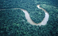 Phát hiện sông ngầm sâu 4.000 m dưới sông Amazon