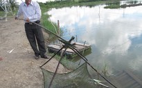 “Chạy nước rút” đến nông thôn mới