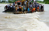 Lại vỡ đê, dân An Giang “chết đứng” trên đồng