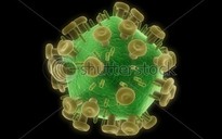 Phát hiện chủng virus HIV mới đáng sợ hơn!