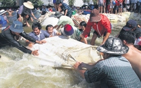 Dân Bangkok phá đê trọng yếu