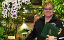 Ngắm hoa lan mang tên danh ca Elton John