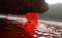 “Dòng sông máu” ở Trung Quốc