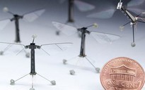 Robot "ruồi" tí hon nhất thế giới