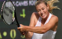 Sharapova "kết hôn" với "đại gia" điện tử Hàn Quốc