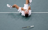 Paris Masters: Murray, Del Potro nối bước Djokovic rời cuộc chơi