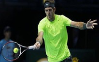 Hạ gục Tipsarevic, Del Potro nuôi hy vọng vào bán kết