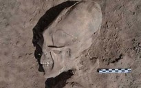 Phát hiện sọ "người ngoài hành tinh" ở Mexico