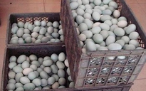 Trứng vịt muối Trung Quốc “dính” chất gây ung thư