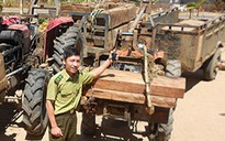 Vụ “Lâm tặc đào tẩu trước mắt… kiểm lâm”: UBND tỉnh Ninh Thuận chỉ đạo làm rõ