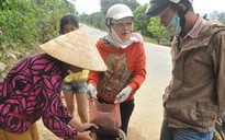 Lên non "săn" ốc đặc sản