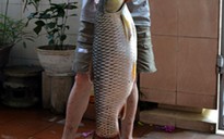Câu được cá trôi nặng 10kg trên sông Hương