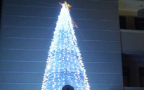 Ngắm cây thông Noel lạ tại Bến Tre