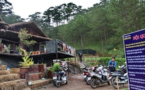 Phát hiện hầm thiếc ngay giữa căn nhà kinh doanh du lịch ở Thung lũng Tình yêu