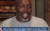 100.000 con ong “sát thủ” tấn công 2 người ở Mỹ