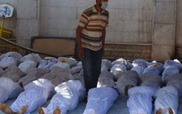 Syria: "755 người thiệt mạng vì vũ khí hóa học”
