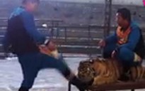 Trung Quốc: Phẫn nộ vì clip bạo hành hổ