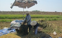 Nắng thiêu đốt miền Trung