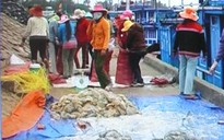 Trúng đậm vú nàng ở Hoàng Sa
